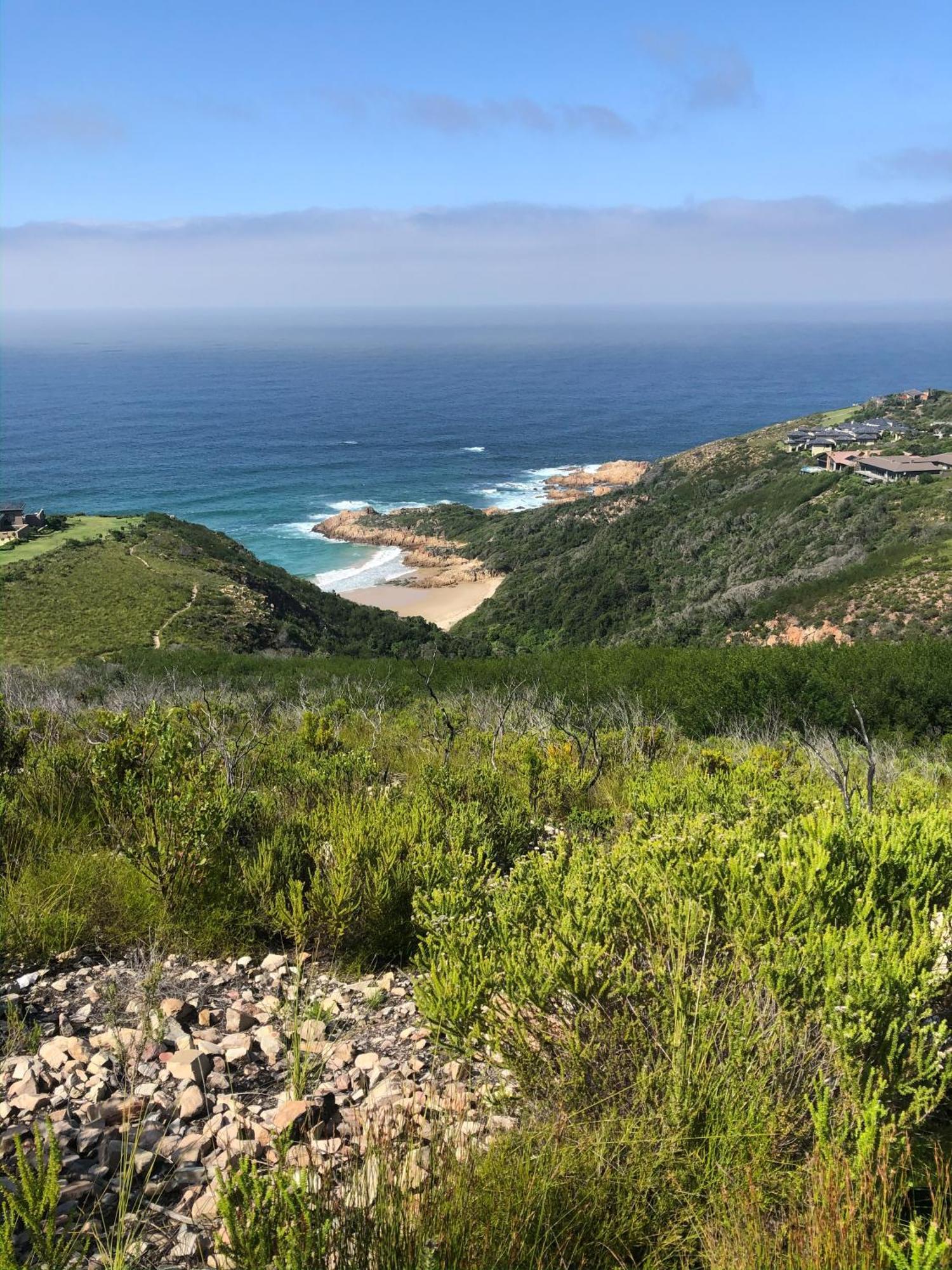 Pezula Nature Retreat Knysna Exterior foto View of the beach at the headland of the Knysna Heads
